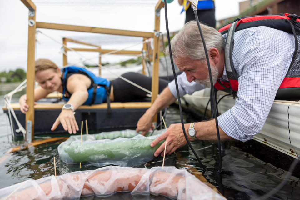 Dalhousie University oceanographer Hugh MacIntyre assists Mikaela Ermanovics in preparing an experiment in Dartmouth, Nova Scotia. (Riley Smith for NBC News)