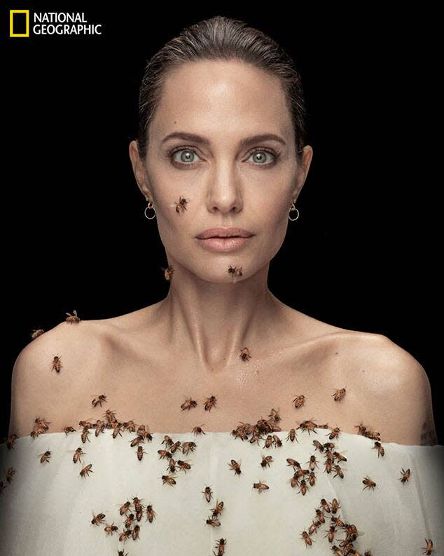 Angelina Jolie, National Geographic