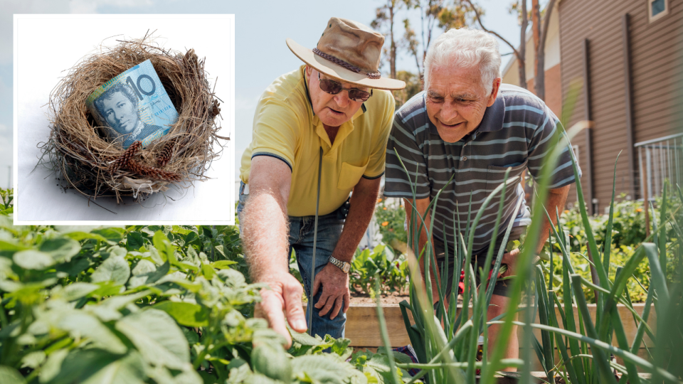 Two senior men smile while bending over looking at vegetable patch. Inset: Australian $10 note in nest. Nest egg/retirement concept. 