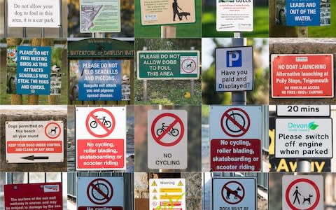 A visitor to Dawlish in Devon went on TripAdvisor and criticised the tourist destination for having too many 'nanny state' warning signs - Credit:  South West News Service