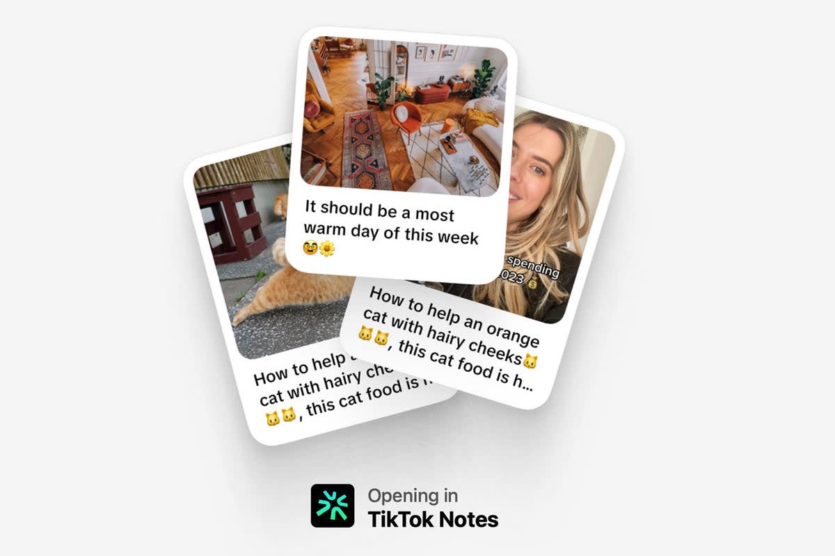 TikTok users have received notifications in the app that Notes is coming, according to multiple posts on social media (TikTok)