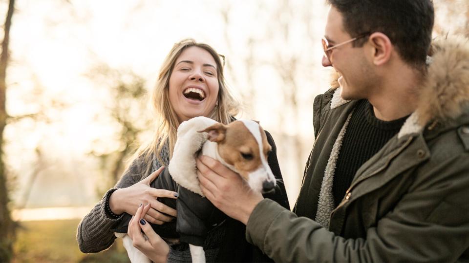 dog with its owners