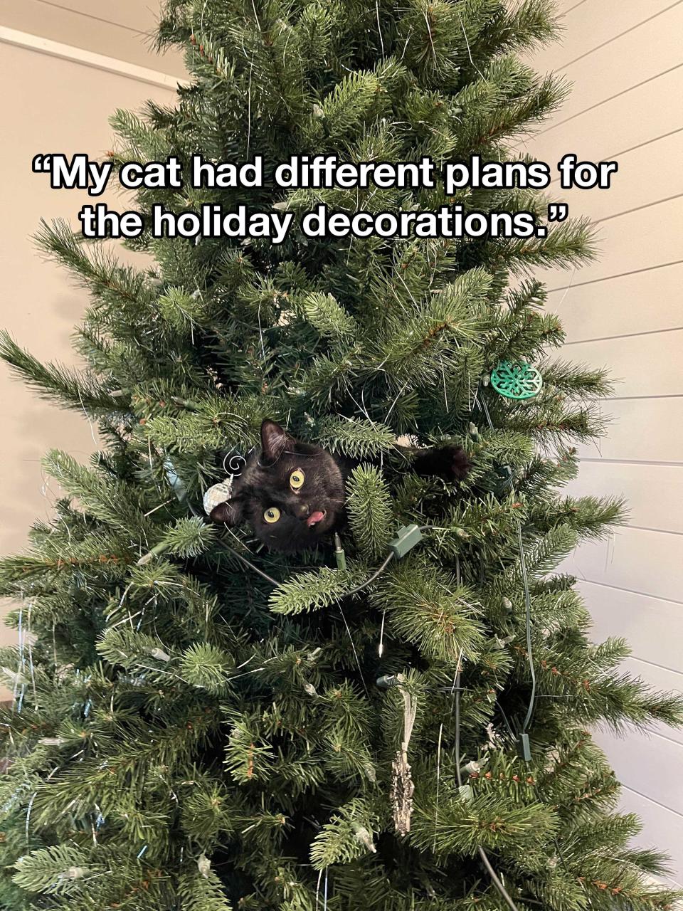 a cat sticking out of a Christmas tree and the words "My cat had different plans for the holiday decorations"