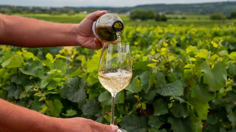 Person pouring sparkling white wine