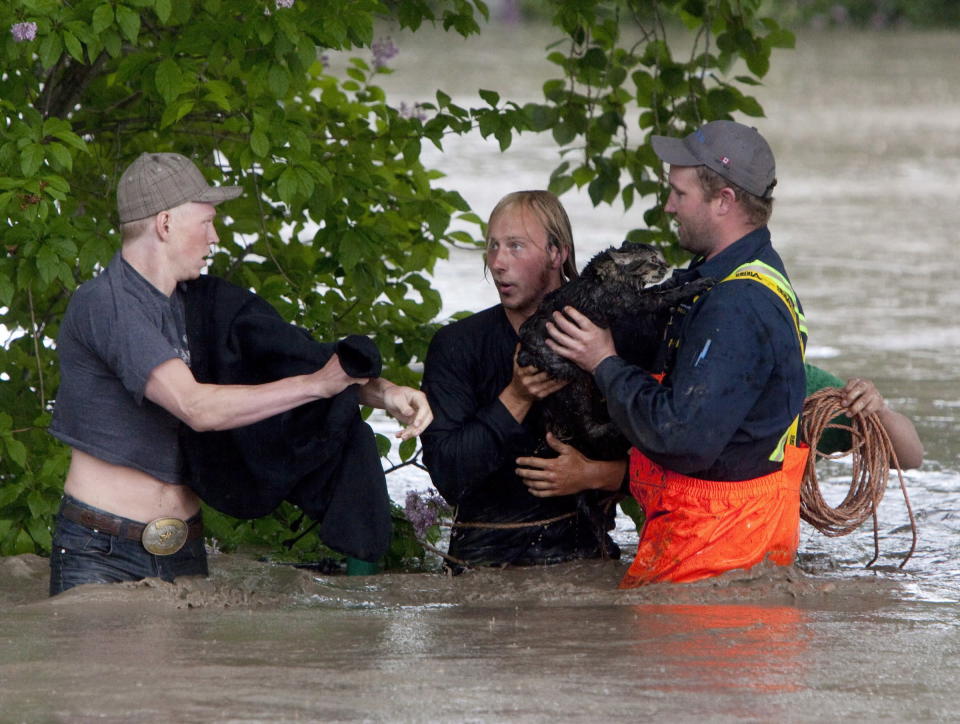 Kevan Yaets and his cat Momo are led to safety excaping his pick-up swept downstream in High River, Alta. on June 20, 2013 after the Highwood River overflowed its banks.