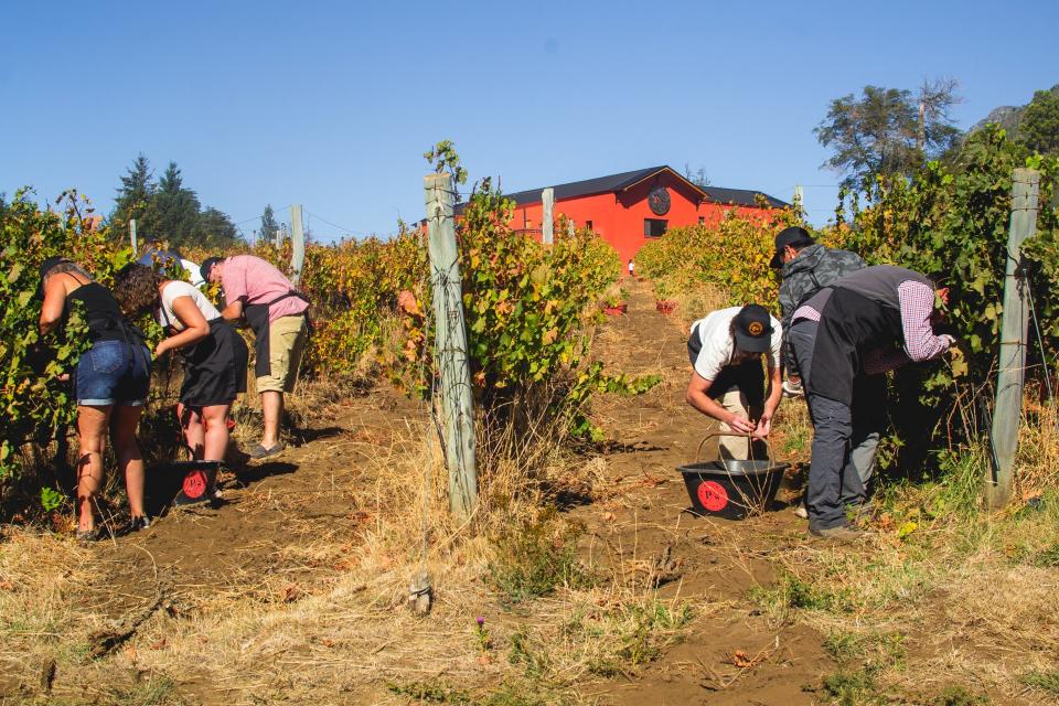 El Hoyo (Foto: Gentileza Patagonian Wines)