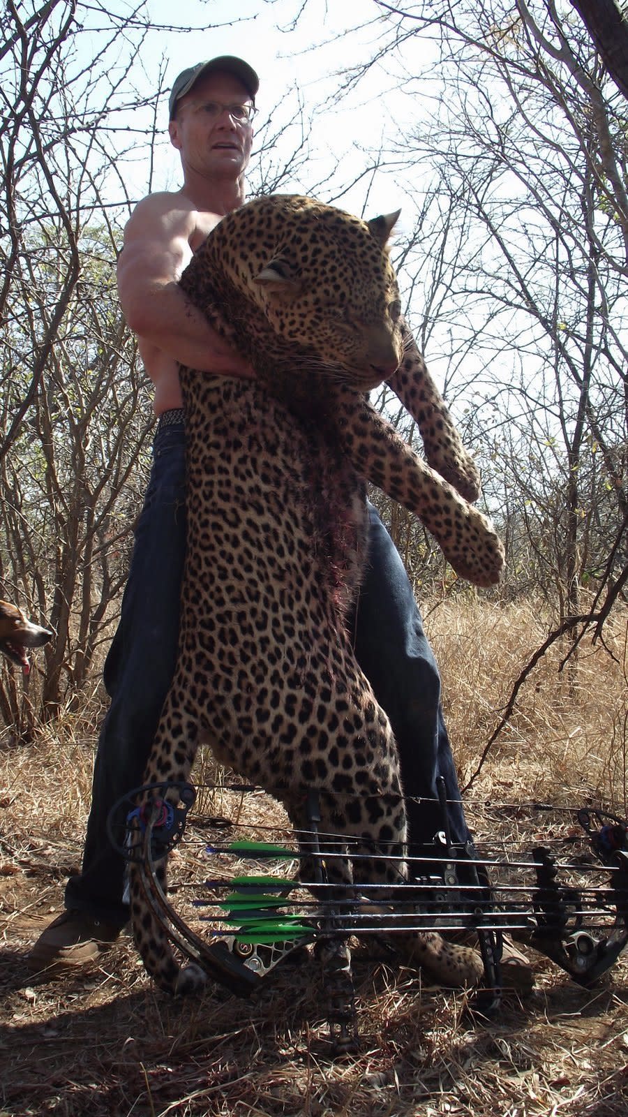 <p>Walter Palmer is seen in this undated photo with a leopard in Zimbabwe.</p> (Photo: Credit: brentsinclair.blogspot.com)