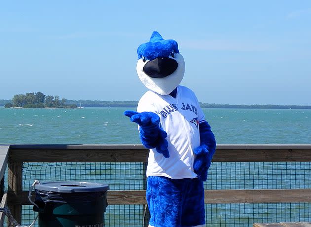 2012 Dunedin Blue Jays D Jay Mascot