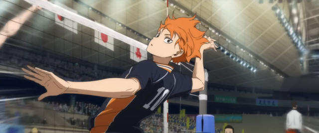 Haikyuu!! (Haikyu!!) 