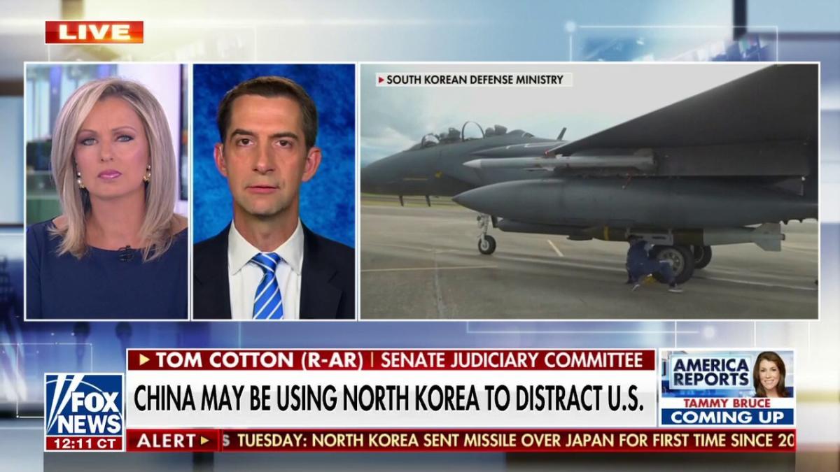 Sen. Tom Cotton: Anti-American dictators 'smell the weakness' from Biden – Yahoo News