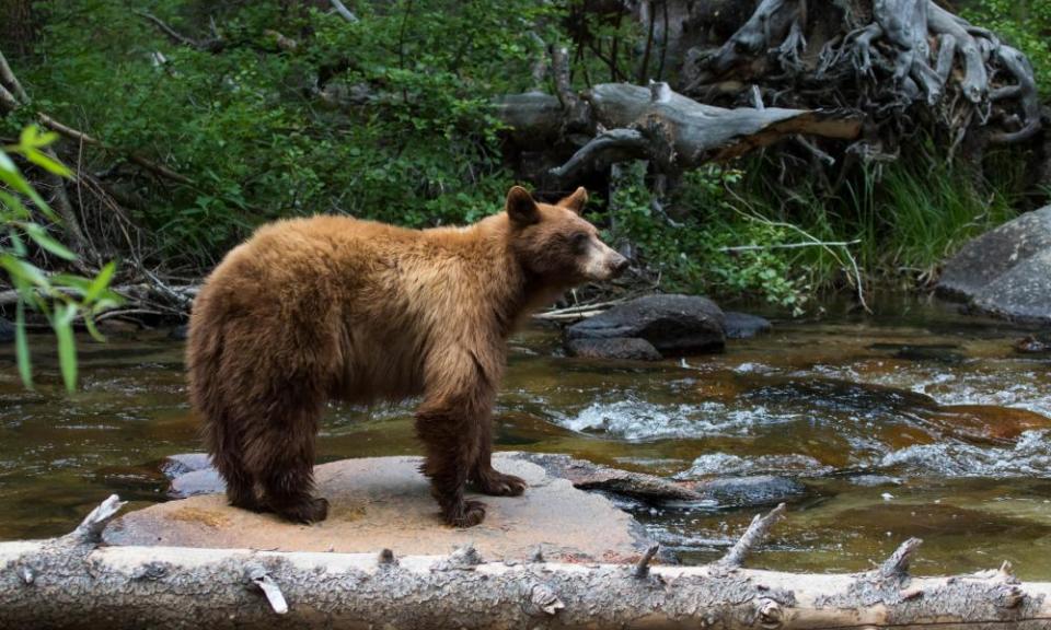 Photograph: Duncan Selby/Alamy Stock Photo