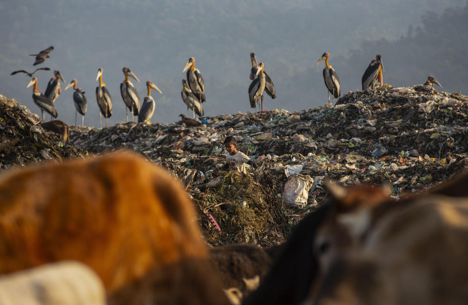 Imradul Ali, 10, looks for recyclable material at a landfill on the outskirts of Gauhati, India, Thursday, Feb. 4, 2021. Once school is done for the day, Ali, rushes home to change out of his uniform so that he can start his job as a scavenger in India’s remote northeast. Coming from a family of scavengers or “rag pickers," Ali started doing it over a year ago to help his family make more money. Ali says he doesn’t want to spend his life doing this, but he doesn’t know what the future holds. (AP Photo/Anupam Nath)