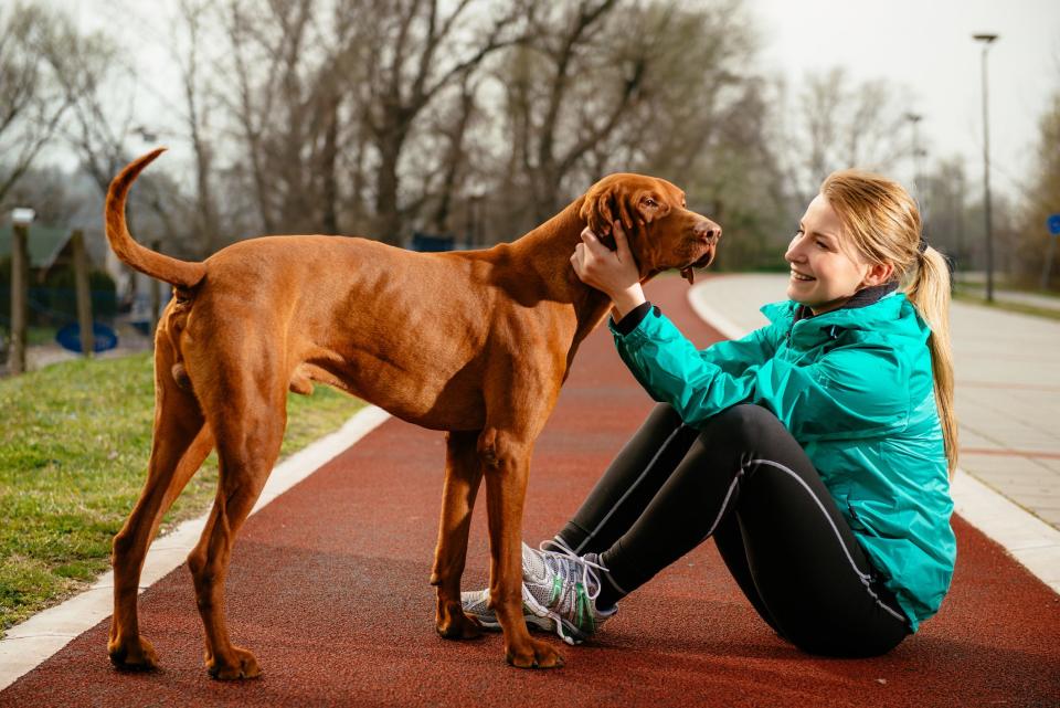 These Are the Fastest Dog Breeds, So Make Sure Your Yard Is Fenced In