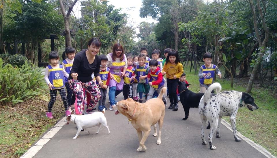 林口華邇街幼兒園和毛寶貝一起校外教學。    圖：新北市動保處提供