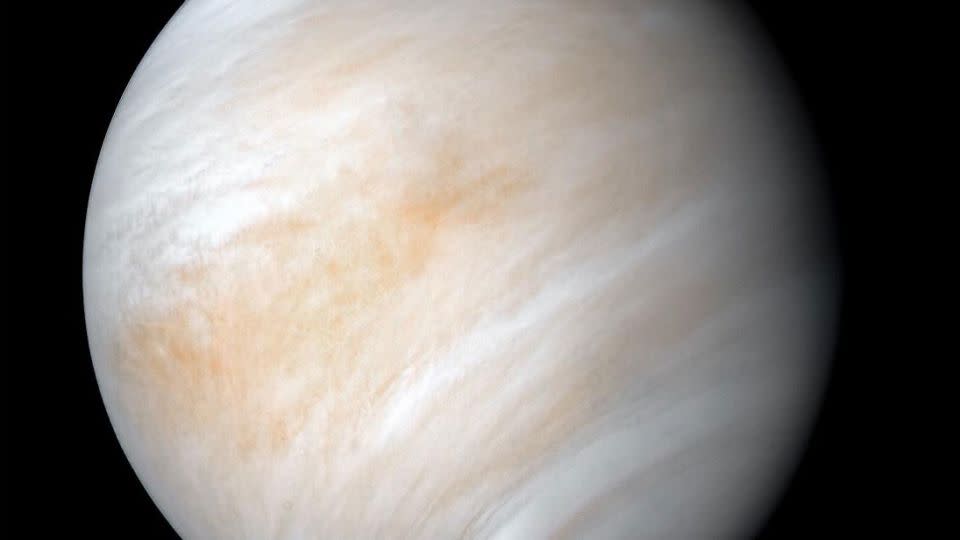 La sonda espacial Mariner 10 de la NASA capturó esta imagen de Venus en la década de 1970, envuelta en una densa capa de nubes globales. - NASA/JPL-Caltech