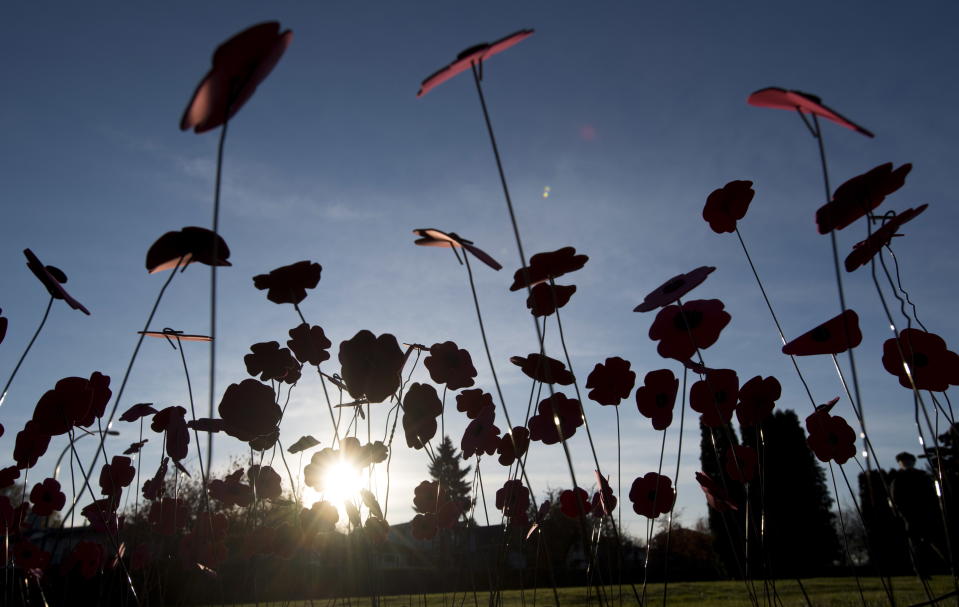 Paper poppies are silhouetted against the setting sun during a ceremony commemorating the 100th year since the end of the First World War at Mountain View Cemetery in Vancouver, British Columbia, Saturday, Nov. 10, 2018. (Jonathan Hayward/The Canadian Press via AP)