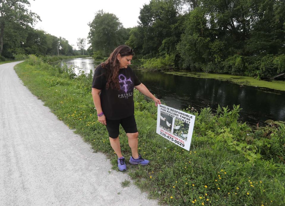 Angela Brown places a sign along Akron's Ohio u0026 Erie Canal Towpath Trail seeking information on the killing of two ducks.