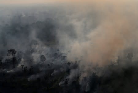 An aerial view of a burning tract of Amazon jungle as it is cleared by loggers and farmers near Porto Velho