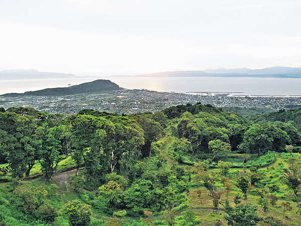 Ibusuki Bay Terrace Hotel & Spa清晨的景致迷人，樹林的鮮氣十足。