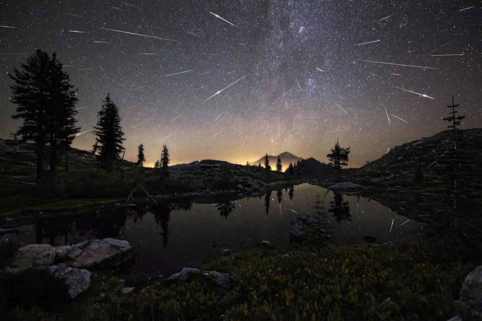 <p>The Perseid Meteor Shower shoots across the sky in the early hours. This composite image features roughly 65 meteors captured by the photographer between 12:30am and 4:30am. (Brad Goldpaint)</p>