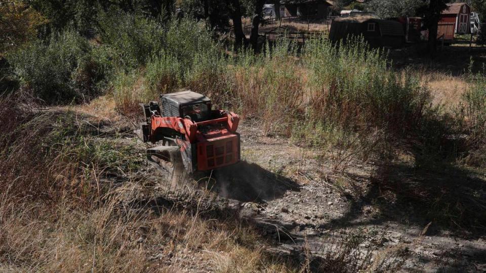 Zane Reif with 4th Generation Tree works on debris removal in Atascadero Creek on Oct. 30, 2023.