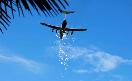 A United Nations World Food Programme (WFP) plane releases sacks of food during an airdrop near the town of Nyal, in South Sudan August 20, 2018. REUTERS/Andreea Campeanu