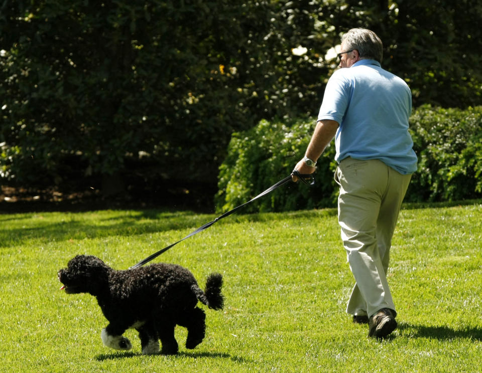 FILE - Dale Haney takes the first pet Bo for a stroll on the South Lawn of the White House in Washington, April 27, 2009. Haney has been a constant through the past 10 presidencies. As of this month, Haney has tended the lawns and gardens of the White House for 50 years. (AP Photo/Gerald Herbert, File)