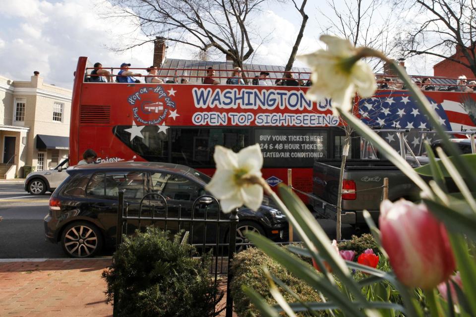 Passing blooming flowers, a packed open top tourist bus drives through the Georgetown neighborhood of Washington, Tuesday, March 13, 2012. (AP Photo/Jacquelyn Martin)