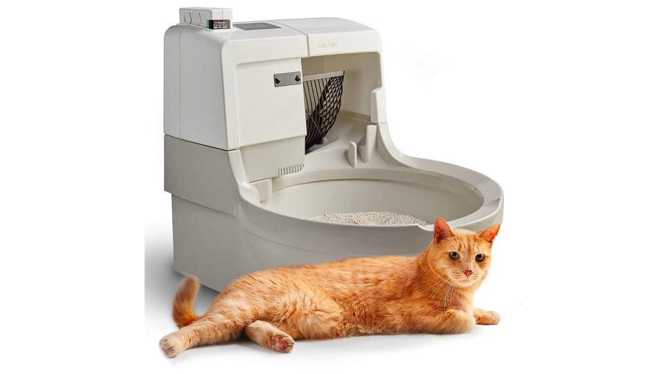 Best Self Cleaning Litter Boxes