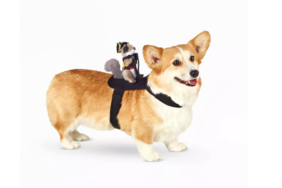 <p>Turn your canine into a chariot for a squirrel pirate with this simple costume. </p> <p><strong>Buy it!</strong> Squirrel Pirate Rider Dog Costume, $10.00; <a href="https://goto.target.com/c/249354/81938/2092?subId1=PEO25HalloweenCostumesforDogsthatWillHaveTrickorTreatersHowlingwithJoykbender1271PetGal12909733202109I&u=https%3A%2F%2Fwww.target.com%2Fp%2Fsquirrel-pirate-rider-dog-and-cat-costume-hyde-eek-boutique%2F-%2FA-82325168" rel="sponsored noopener" target="_blank" data-ylk="slk:Target.com;elm:context_link;itc:0;sec:content-canvas" class="link ">Target.com</a></p>