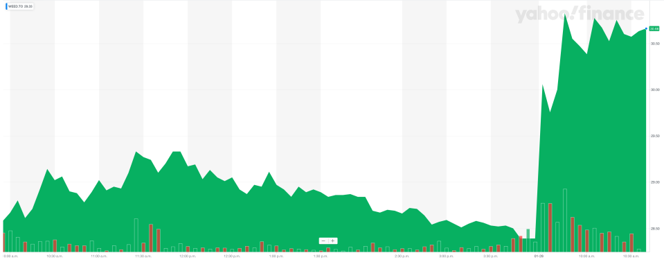 Toronto-listed shares of Canopy Growth trade on the TSX on Jan. 28, 2019. (Yahoo Finance Canada)