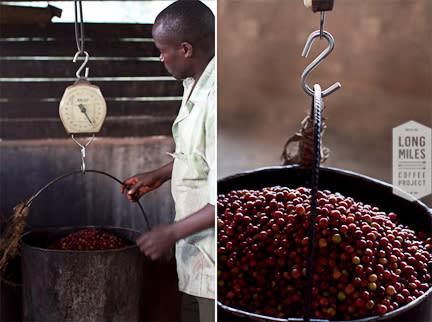 Weighing the Cherries