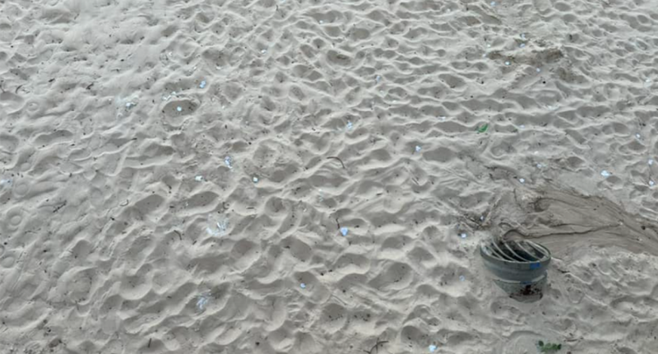 The petals were buried all through the sand on Manly Beach. 