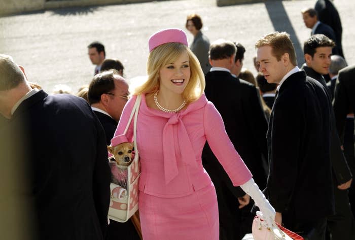 dressed in her signature color, Elle makes her way up the stairs to the courthouse