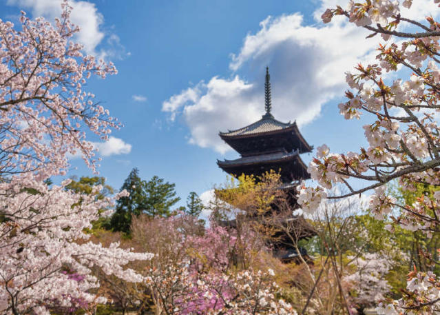 10 of the World's Best Cherry Blossom Viewing Spots