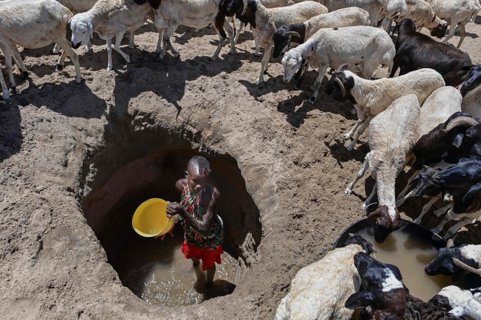 A woman waters goats from a shallow well dug into a dry riverbed at Eliye springs on the western shore of Lake Turkana in Kenya (Tony Karumba / AFP via Getty Images file )