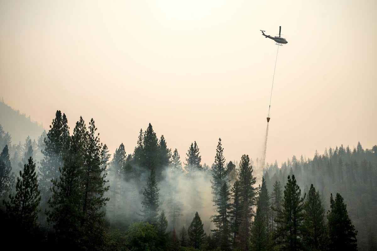 EEUU OESTE INCENDIOS FORESTALES (AP)