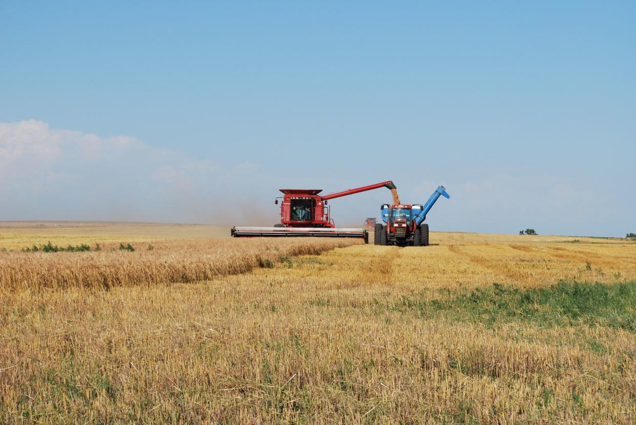 Kansas harvesters unloading grain into grain cart.