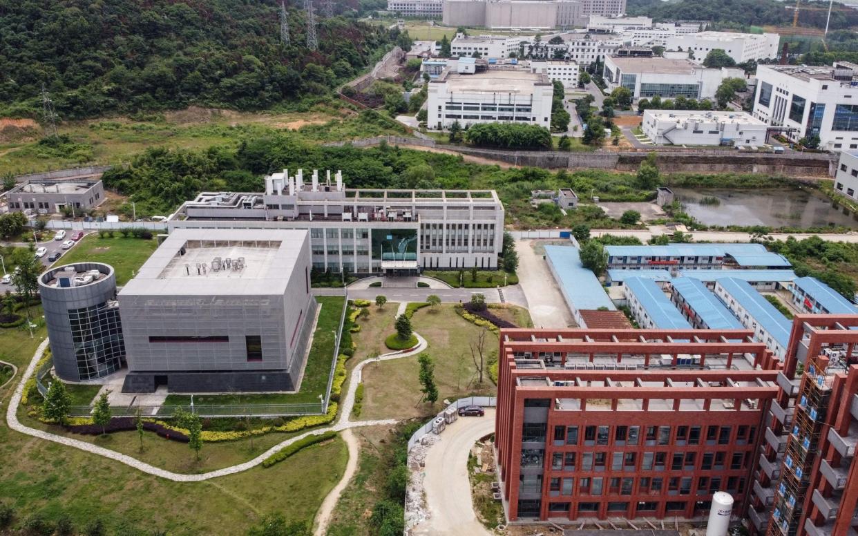 The campus of the Wuhan Institute of Virology - AFP