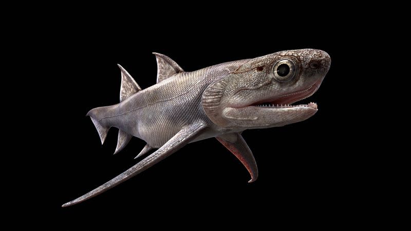 An artist's life reconstruction of the Silurian Period fish Qianodus duplicis