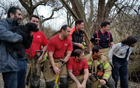 Robert Mendick (left) with Olive, who was rescued by members of his local fire brigade and Mariam from the RSPCA 