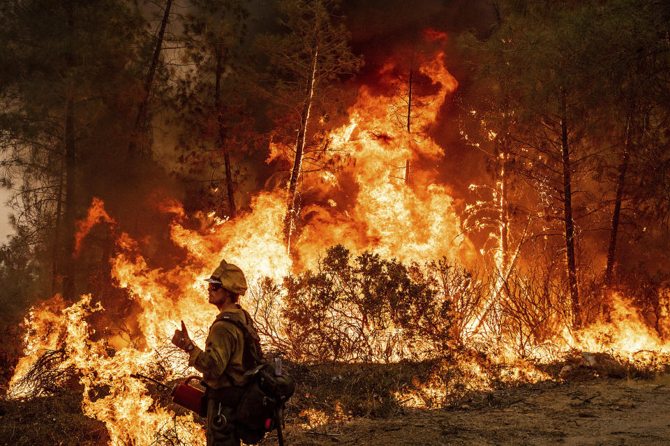 Frefighter Davis Sommer lights a backfire to burn off vegetation while battling the Mosquito Fire in the Volcanoville community of El Dorado County, Calif., on Friday, Sept. 9, 2022. Sommer is part of Alaska's Pioneer Peak Interagency Hotshot crew. (AP Photo/Noah Berger)