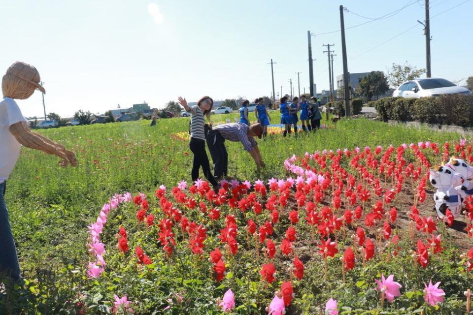 廣植約八公頃花海是民眾拍照打卡熱門田園農村新景點。（記者何國榮攝）