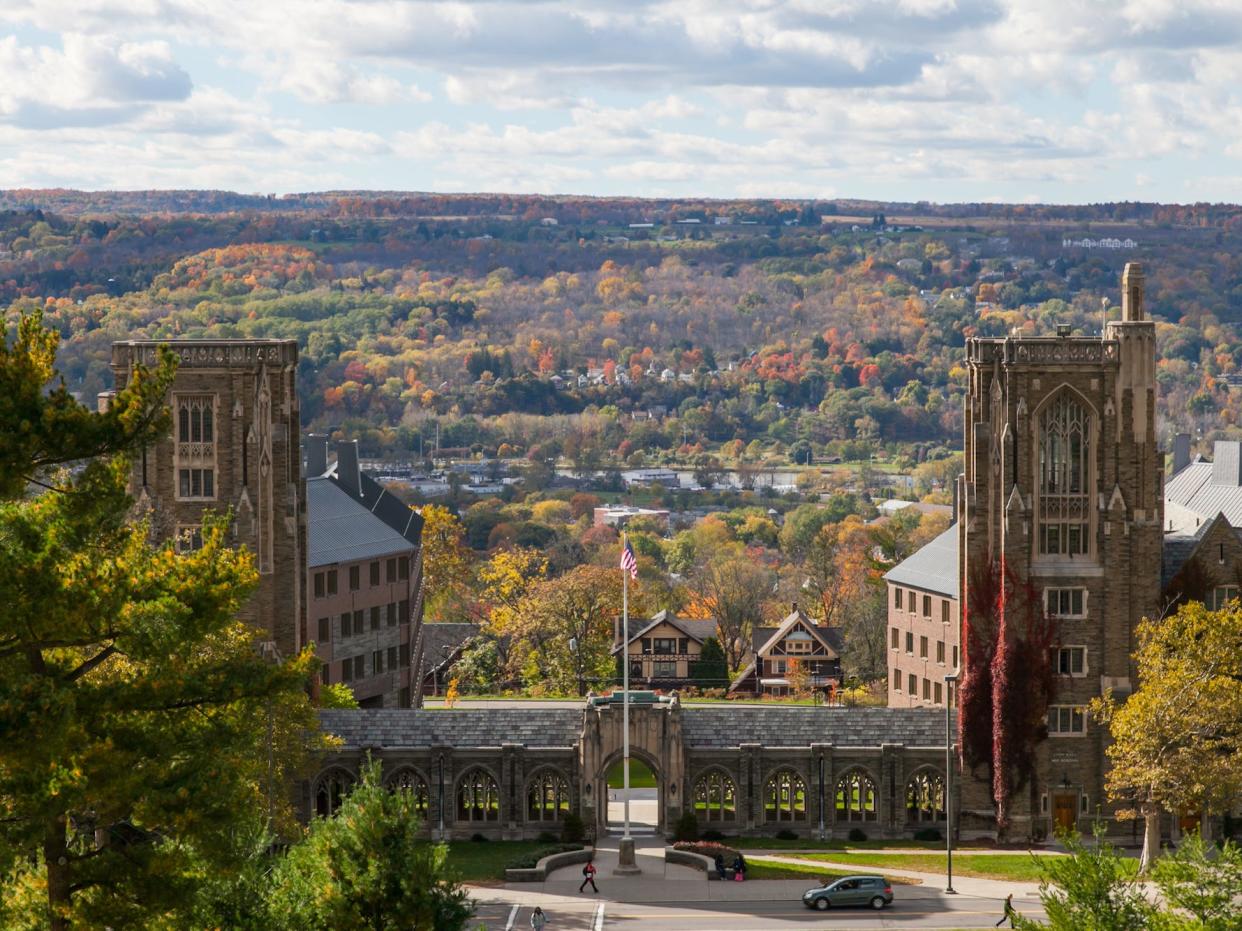 cornell university