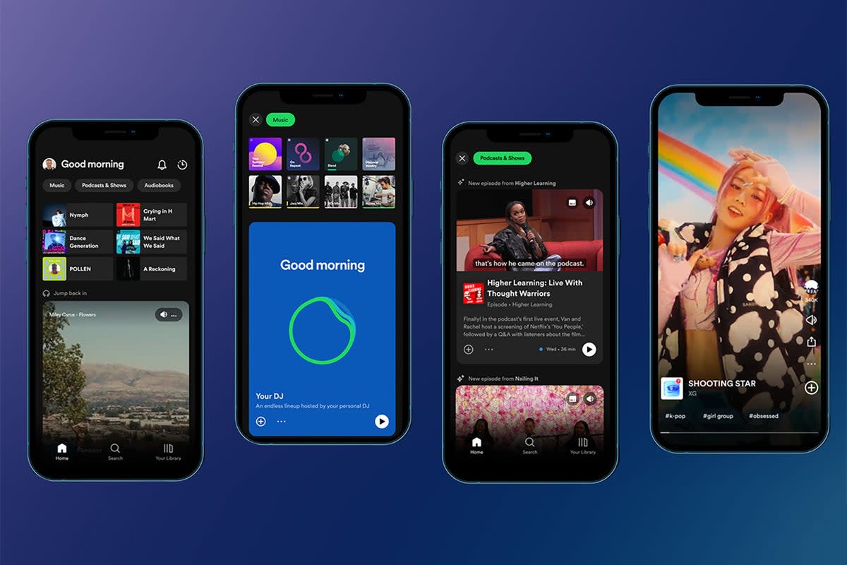 Spotify’s price rise follows its investment in audiobooks and video learning courses (Spotify)