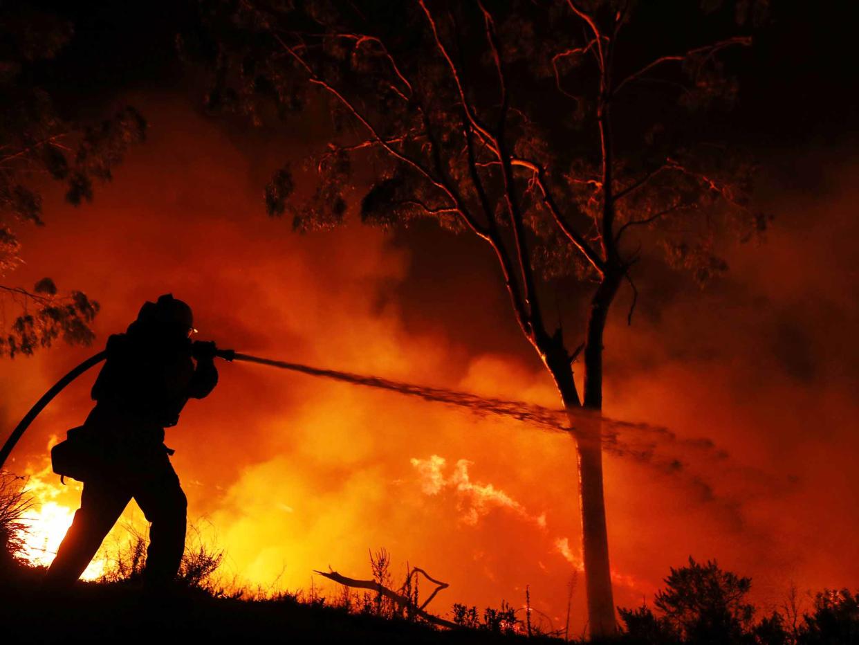 A firefighter is working on extinguishing the Lilac Fire: Reuters