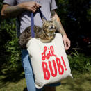 In Bloomington, Ind., where Bub was born, there is a Bub Store selling T-shirts, tote bags, and buttons designed by Bridavsky. Courtesy lilbub.com