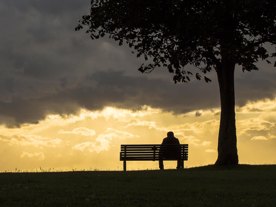 The Government has appointed a Minister for Loneliness: Shutterstock