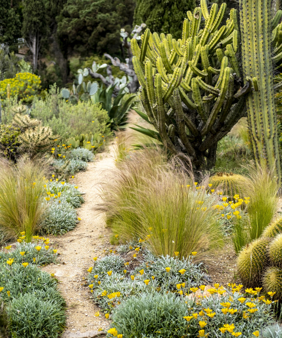 xeriscaped planting design