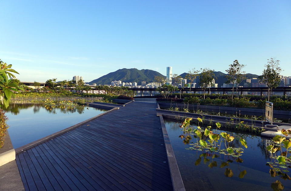 啟德空中花園〡噴泉廣場及草地野餐熱門首選+啟德鄰近美食景點推介6個（內附前往方法）